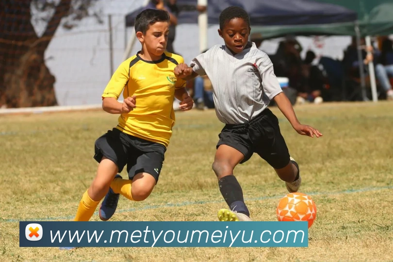 多媒体互动体验